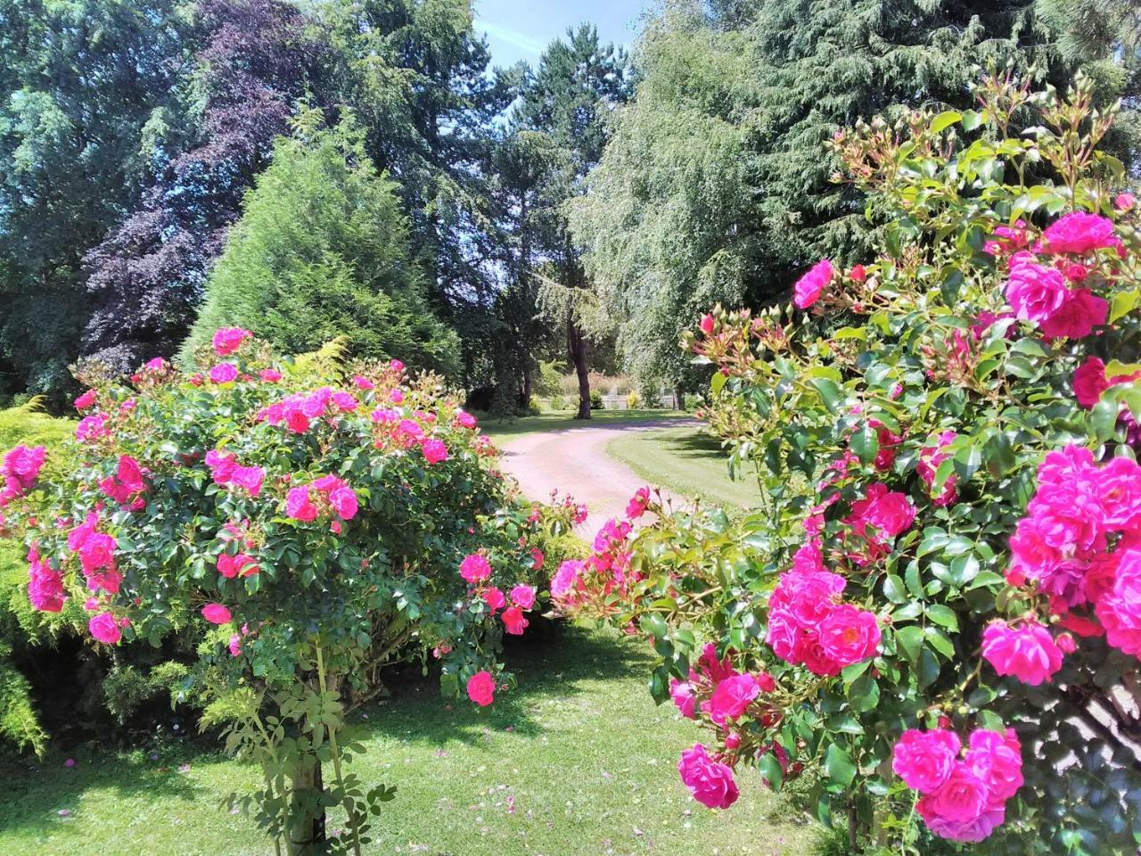 Normandy Vip Villa Trevieres Exterior photo
